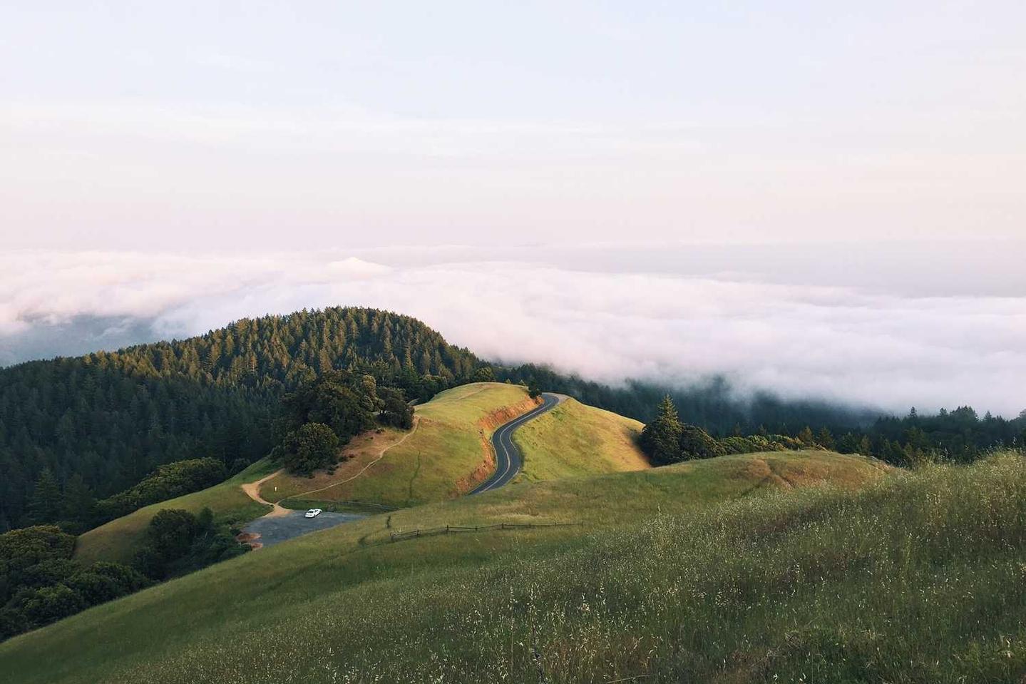 Quis omnis natus animi sed ipsum